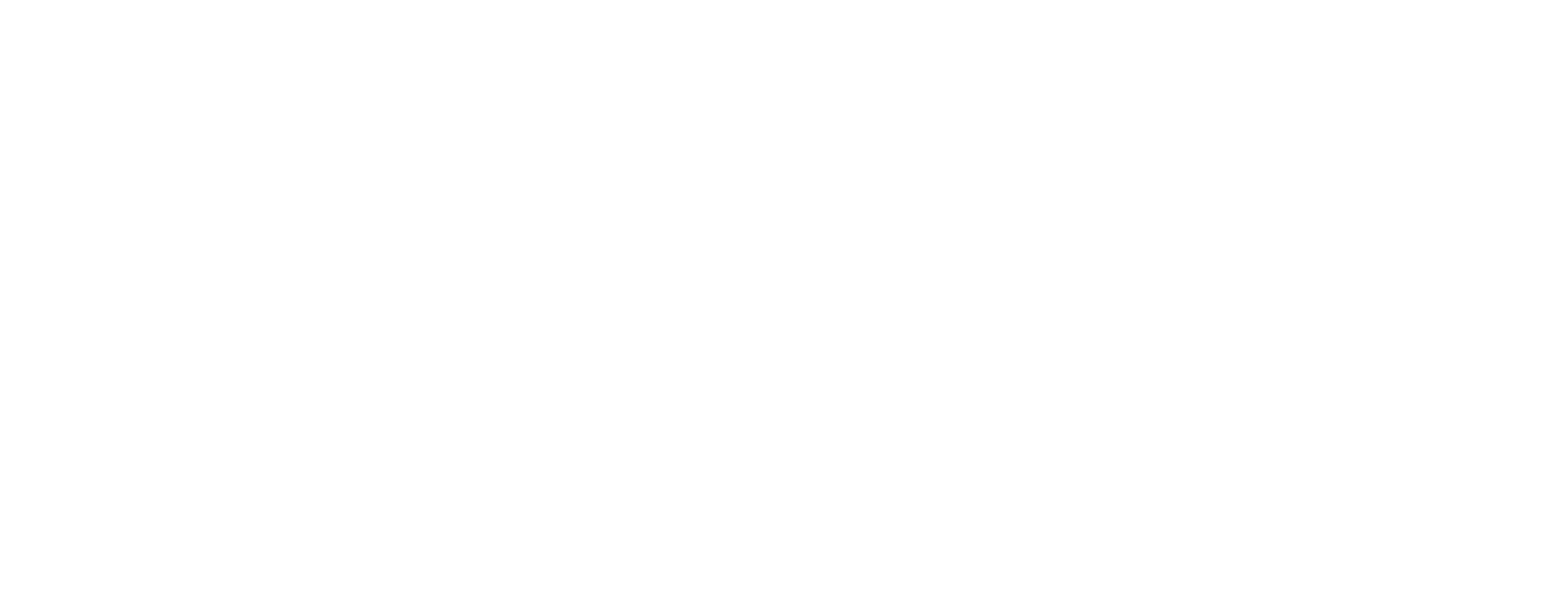 Dev Bug Logo